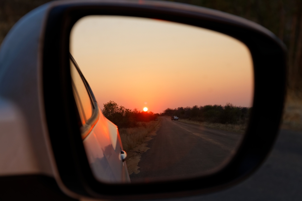 08 - Kruger NP (51).jpg